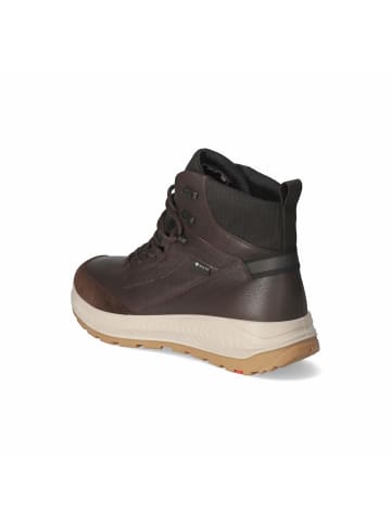 LLOYD Winterboots ELTIS in Braun