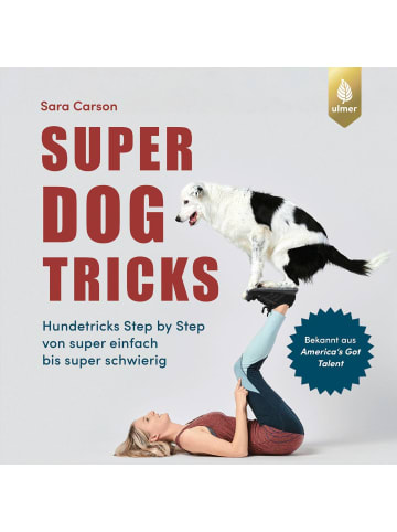 Ulmer Super Dog Tricks