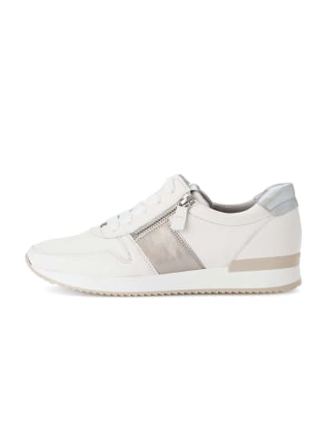 Gabor Sneaker low in multicolour