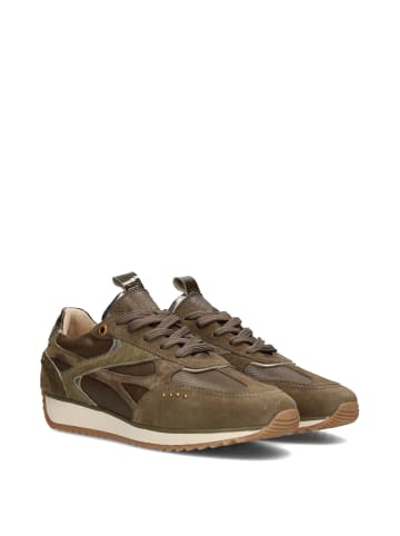 POELMAN Poelman VALERIA Damen Sneaker