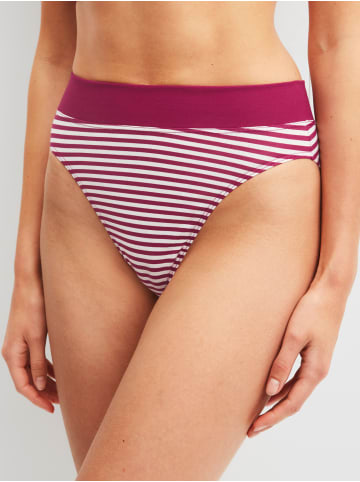 Calida Slip in dahlia pink
