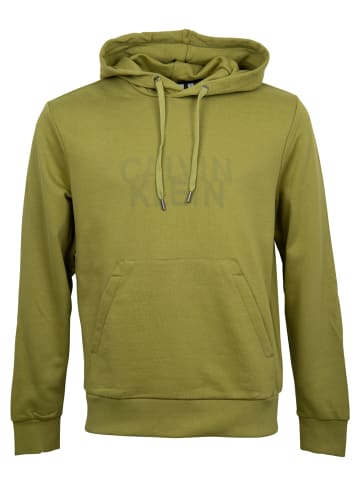 Calvin Klein Sweatshirt in Grün