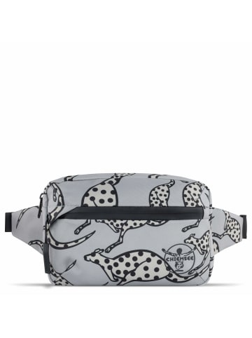 Chiemsee Jump N Fly - Gürteltasche 22 cm (grau) in grau