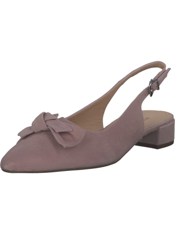 PETER KAISER Sandalen in Mauve