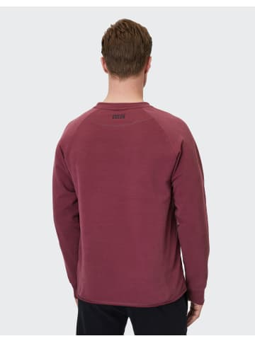 Venice Beach Sweatshirt VBM Callen in burgundy