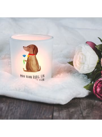 Mr. & Mrs. Panda Windlicht aus Glas Hund Blume mit Spruch in Transparent