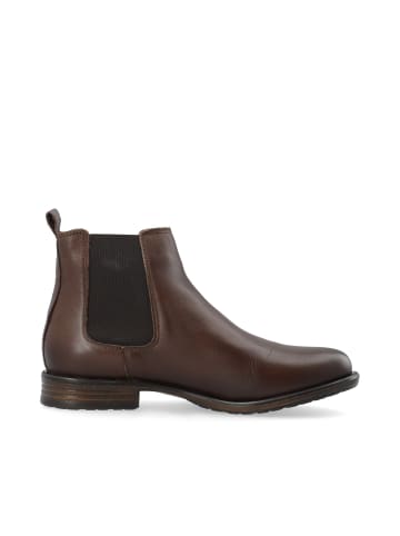 Bianco Chelsea Boots in DarkBrown