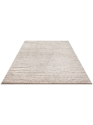 the carpet Hochflorteppich Bahar D in Beige
