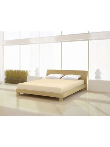 Mr.Sandman Spannbetttuch Elastan basic 140-160 x 200-220 cm in hellbeige