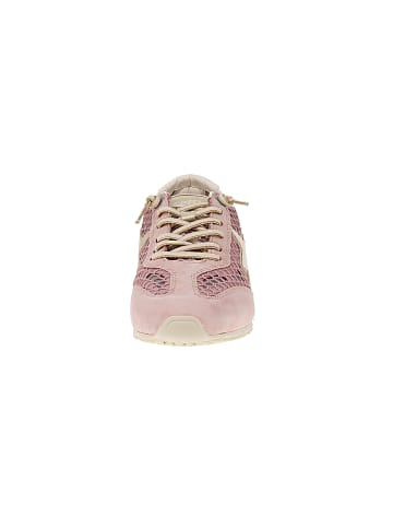 Cetti Sneaker low C-1409 SRA V26 in Rosa