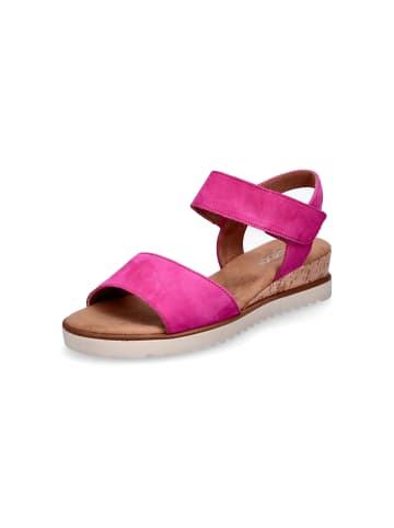 Gabor Comfort Sandalette in Pink