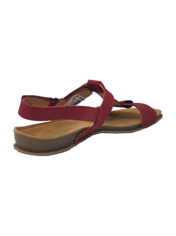 El Naturalista Sandalen in Rot