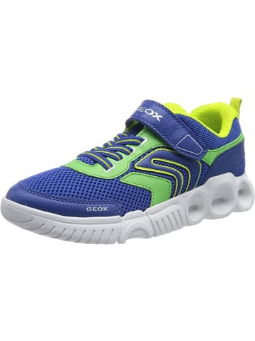 Geox Sneaker für Jungen in blau