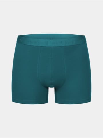 Erlich Textil CASUAL COTTON PANTS IM 3er PACK in petrolblau