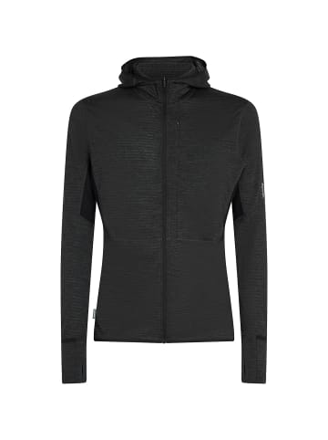 icebreaker Kapuzensweat Merino Blend 200 RealFleece in wie abgebildet0061