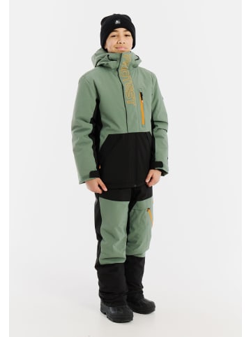 Protest " PRTPaulo JR in Aspen green