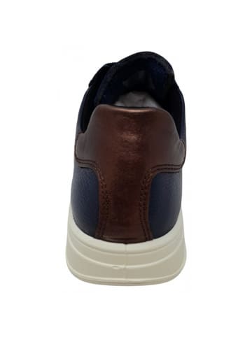 ara sportlicher Schnürer Rom 2.0 in Blau