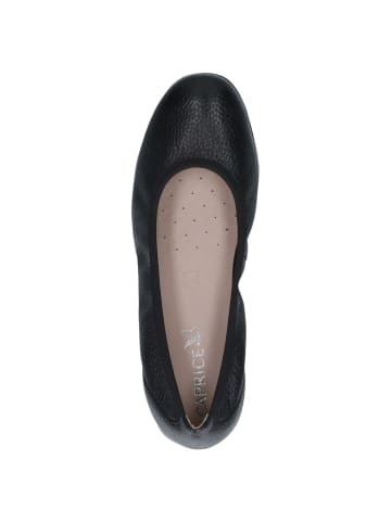 Caprice Ballerina in BLACK DEER