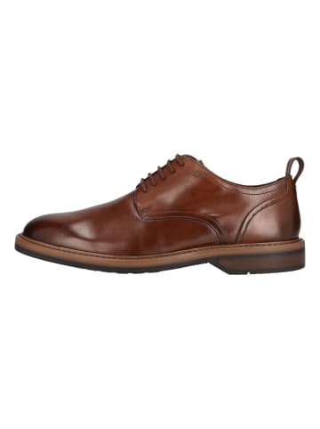 Clarks Businessschuhe Aldwin Lace in 5241 Tan Leather