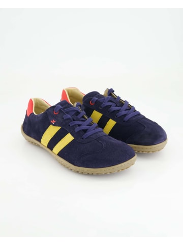 KOEL Sneaker low in Blau
