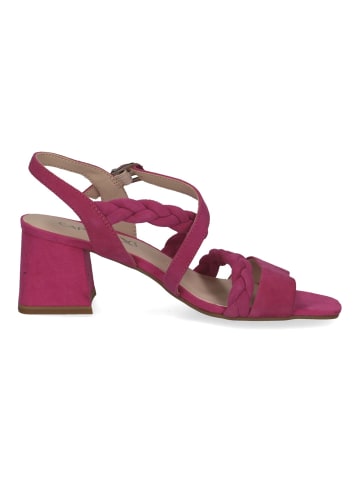 Caprice Sandalen in Fuchsia