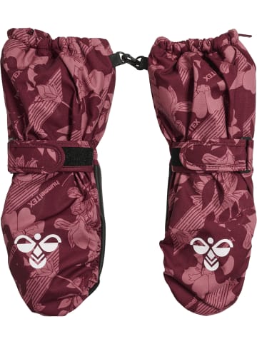 Hummel Hummel Handschuhe Hmlseal Lebensstil Jungen in WINDSOR WINE