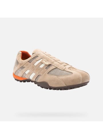Geox Schnürschuh in beige