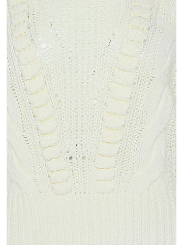 usha BLUE LABEL Women Sweater in Wollweiss