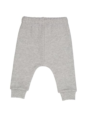 Fred´s World by GREEN COTTON Sweathose 1535101500 in grau