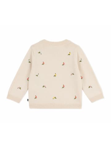 PETIT BATEAU Pullover für Mädchen in kombi