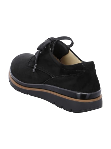 Fidelio Komfort Schnürschuhe in Schwarz