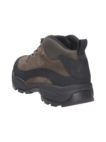 Pius Gabor Sneaker in grün
