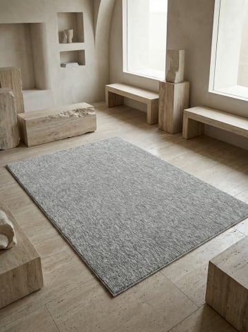KADIMA DESIGN Teppich Kurzflor Waschbar Einfarbig AMMER Strapazierfähig OEKO-TEX in Hellgrau