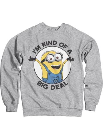 Minions Pullover in Grau