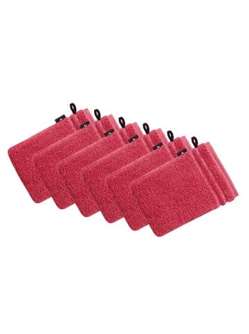 Vossen 6er Pack Waschhandschuh in maroon