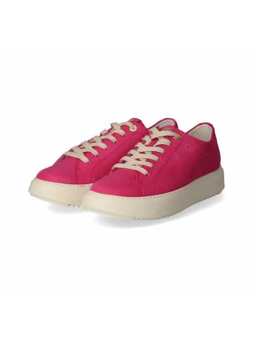 Paul Green Low Sneaker in Pink