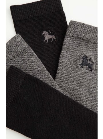 Coccodrillo Socken in bunt