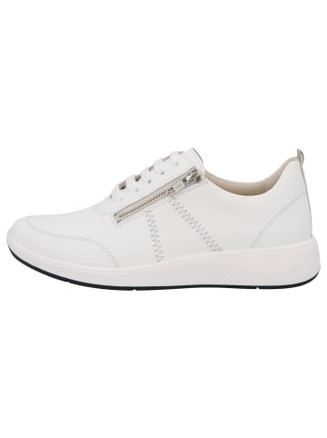 Solidus Damen- Schnürschuhe Halea - Weite F in Weiß