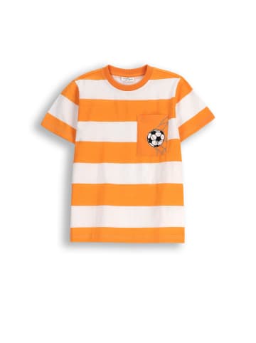 Coccodrillo T-Shirt mit kurzen Ärmeln in bunt