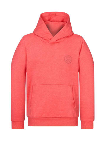 naketano Sweat Hoody Theo's Lieblingspulli Cherry Red Melange