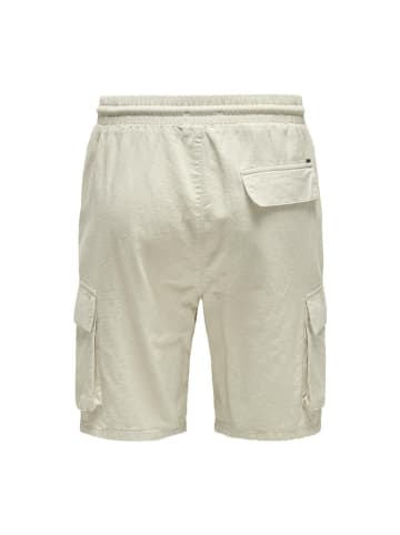Only&Sons Short in Silver Lining