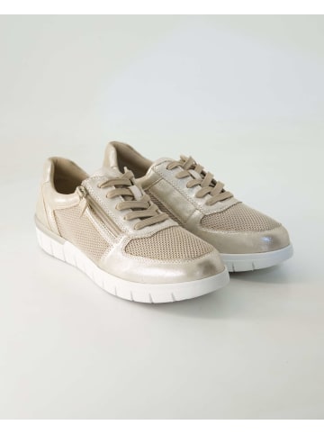 Terry Sportliche Schnürschuhe in Beige