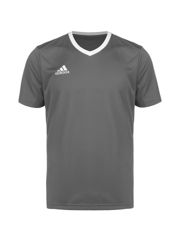 adidas Performance Trikot Entrada 22 in grau