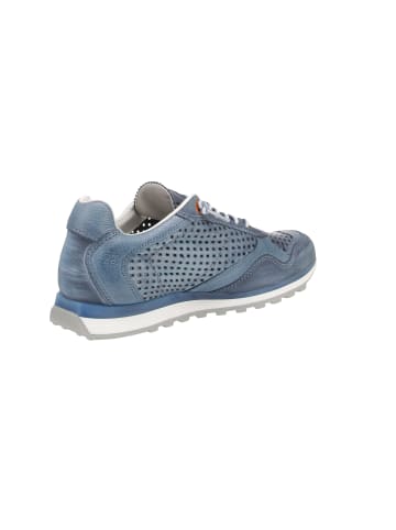 Cetti Sneaker low C-848 EXP in Blau