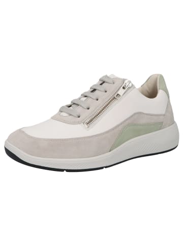 Solidus Sneaker Low in rot