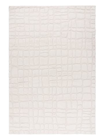 Teppich Boss Kurzflor Teppich Alwin 125 Beige - Beige