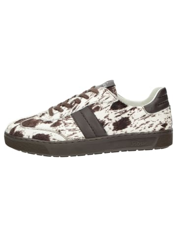 Sioux Sneaker Tedroso-DA-717 in braun