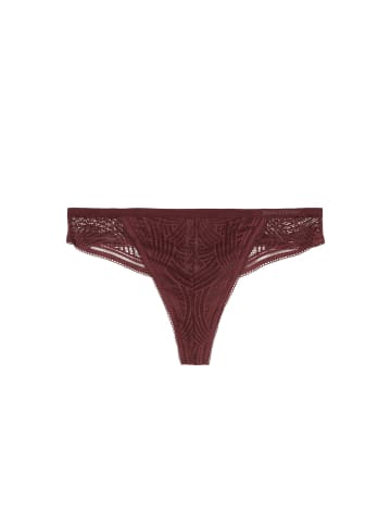 Marc O'Polo String Timeless Lace in deep ruby