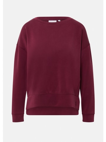 comma Sweatshirt in 4916_bordeaux