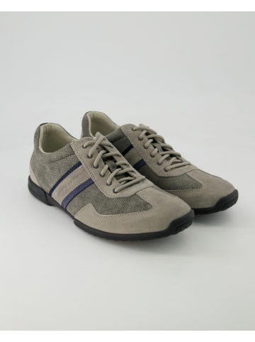 Pius Gabor Sneaker low in Grau